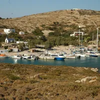 αρκιοι