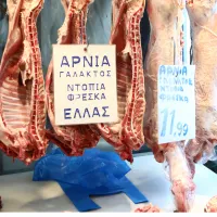 αρνί