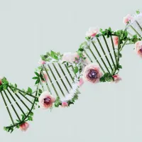 DNA