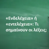 «Ενδελέχεια» ή «εντελέχεια»