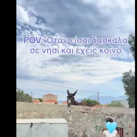 γαιδουράκι 
