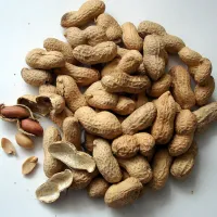 karpos