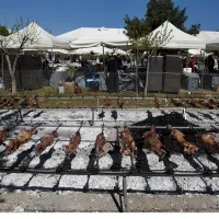 αρνί
