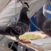 περιστερι
