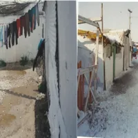Ρομά