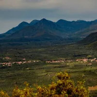 xorio