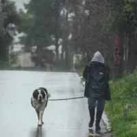 Ιδιοκτήτης περπατάει με το σκύλο του εν μέσω βροχής