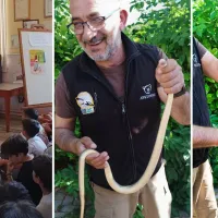 Φίδι σε Δημοτικό Σχολείο