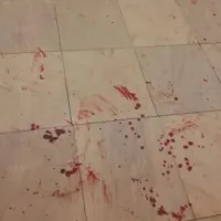 νομικη