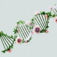 DNA