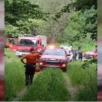 Δράμα: Νεκροί ορειβάτες από επίθεση αρκούδας