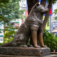 hajiko