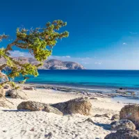 Κεδρόδασος