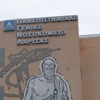 αιμορραγικού πυρετού