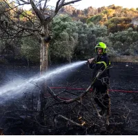 Φωτιά στη Ραφήνα