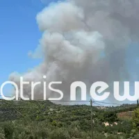 Φωτιά στην Ηλεία