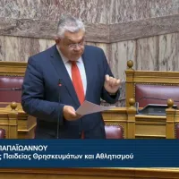 Νίκος Παπαϊωάννου, Βουλή