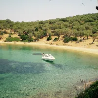 trikeri