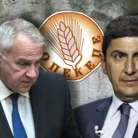 βοριδης