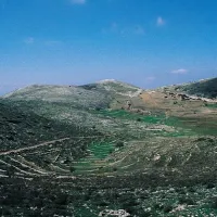 dervenakia