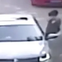 Τίγρης κατασπάραξε γυναίκα σε σαφάρι μπροστά στα μάτια της οικογένειάς της