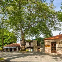 Κεραμίδι Μαγνησίας