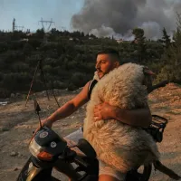 πρόβατο Πάτρα