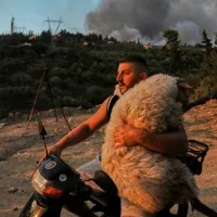 προβατο