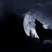 lykos