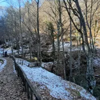 ελατοχώρι
