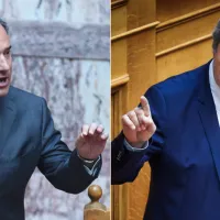 πολακ