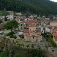 tithorea