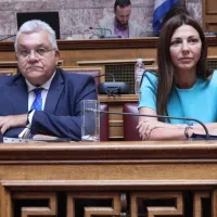Σοφία Ζαχαράκη, Νίκος Παπαϊωάννου 