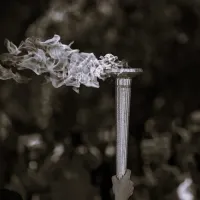 φλογα