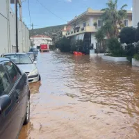 Ερμιονίδα