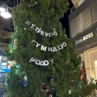 δέντρο