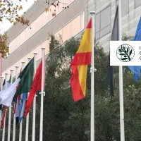 MoU International Olive Council-slider