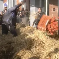 Καβάλα: Αγρότες πέταξαν άχυρα, ντομάτες και γάλα στην Αντιπεριφέρεια
