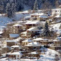 ελατη