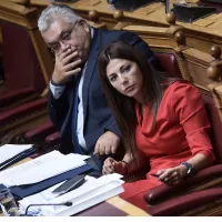Ζαχαράκη Παπαϊωάννου Βουλή