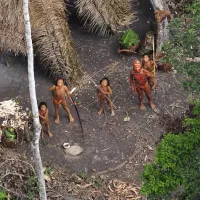 amazonios