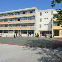 σχολικές επιτροπές, προαύλιο σχολείου