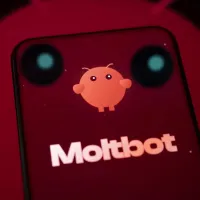 moltbot