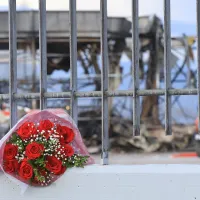 βιολαντα