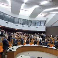 ΕΣΔΙ, Δικαστήρια