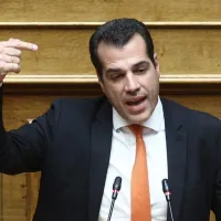 πλευρης