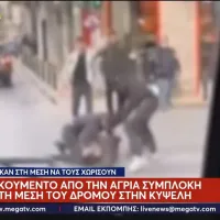 Κυψέλη