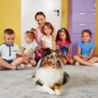 Πανελλήνια Σχολική Ημέρα Φιλοζωίας