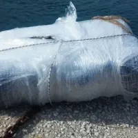 Δέμα κοκαϊνης