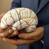 εγκεφαλος